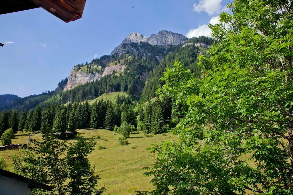 Hotel Berghof Nesselwangle Room photo