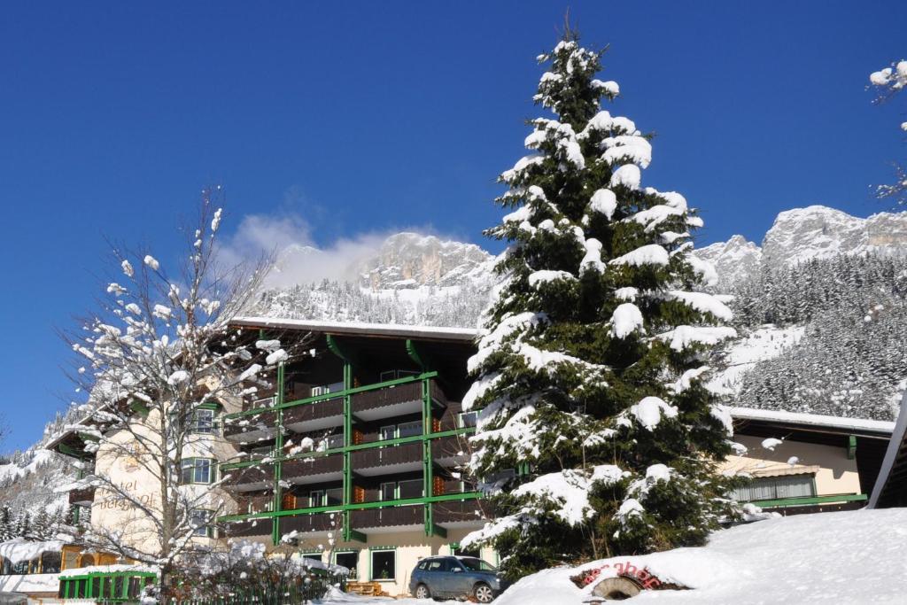 Hotel Berghof Nesselwangle Exterior photo